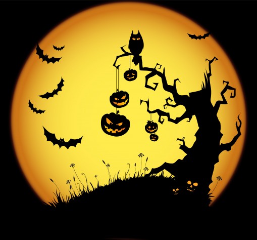   - Halloween az állatkertben