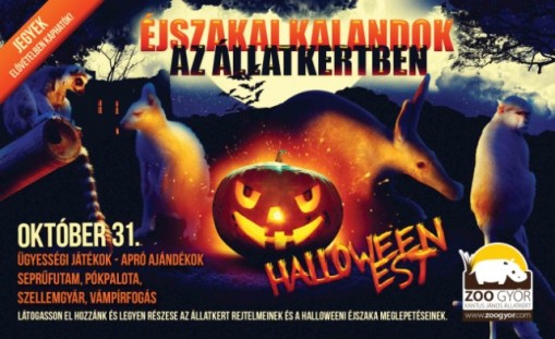   - Halloween est a győri állatkertben